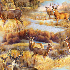 Deer Meadow Scenic (7216)